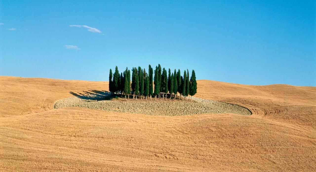 Appartamento Vecchio Mulino Isola d'Arbia 外观 照片